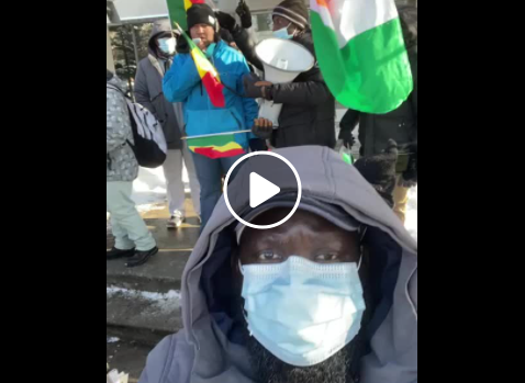 Manifestation pour le  Mali, 22 janvier 2022